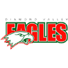 Даймонд Вэлли Иглз
