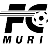 Мури