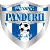 Вииторул Пандурий Тыргу-Жиу II