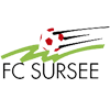 Сурсе