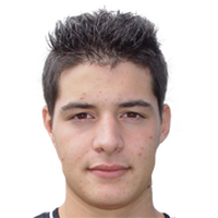 Николо Ангелини