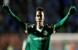 Палмейрас — Аль-Ахли прогноз на матч Клубного чемпионата мира 19 июня 2025 года. Ставка с коэффициентом 1,73