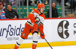 Анахайм – Ванкувер прогноз на матч НХЛ 27 ноября 2025 года. Ставка с коэффициентом 2,05