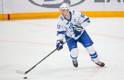 Прогноз на матч Динамо – Северсталь. «Бело-голубые» справятся с удобным соперником