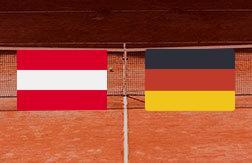 Новак Деннис - Негриту Кристоф прогноз на матч Теннис.  Челленджер тур ATP (14.03.25)