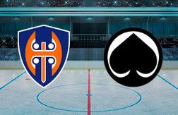 Таппара - Эссят прогноз на матч Хоккей.  Финляндия (27.11.24)