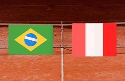 Мелижени Фелипе Алвес - Пабло Хуан Варильяс прогноз на матч Теннис.  ATP 250 (23.02.25)