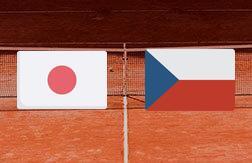 Нисикори Кэй - Махач Томаш прогноз на матч Теннис.  ATP 500 (04.02.25)