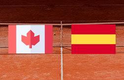 Шаповалов Денис - Давидович Алехандро Фокина прогноз на матч Теннис.  ATP 500 (01.03.25)