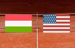 Марожан Фабиан - Тьяфу Фрэнсис прогноз на матч Теннис.  Australian Open (16.01.25)