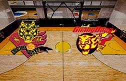 Цзилинь Тайгерс - Гуандун Тайгерс прогноз на матч Баскетбол.  Китай (28.12.24)