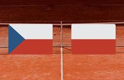 Палан Доминик - Печковский Олаф прогноз на матч Теннис.  Мужчины (09.11.24)