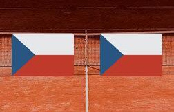 Мухова Каролина - Синякова Катерина прогноз на матч Теннис.  WTA 1000 (09.03.25)