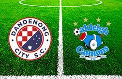 Данденонг Сити - Оукли Кэннонс прогноз на матч Австралия - Виктория - Премьер-лига 31.03.2021