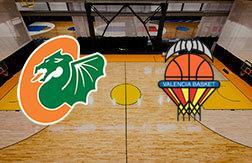 Цедевита Олимпия - Валенсия прогноз на матч Баскетбол.  Еврокубок (28.01.25)