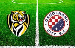 Ричмонд - Данденонг Сити прогноз на матч Австралия - Кубок ФФА - Квал. 05.04.2021