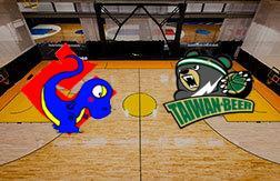 Юлон Дайнос - Тайвань Бир прогноз на матч Китайский Тайбэй - SBL 31.03.2021