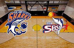 Шанхай Шаркс - Фуцзянь Сюньсин прогноз на матч Баскетбол.  Китай (25.12.24)