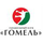 HC Gomel